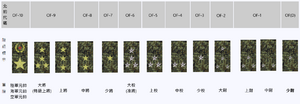 伊坦里卡軍官軍階列表.png