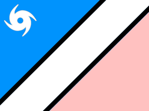 颱風旗.png
