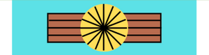 貢獻大星章 勛略.png