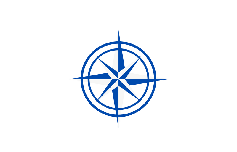 檔案:微國家青年共治組織會旗.png