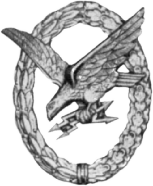 檔案:電子作戰獎章.png