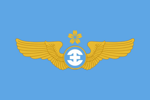 Luftwaffe Banner Stadtstaat Hsinia.png