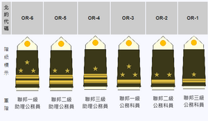 伊坦里卡公務員階級列表.png