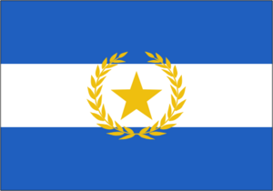 大道民國新版國旗.png