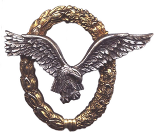 軍機擊毀獎章.png