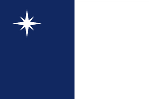 Flag of Xincheng.png